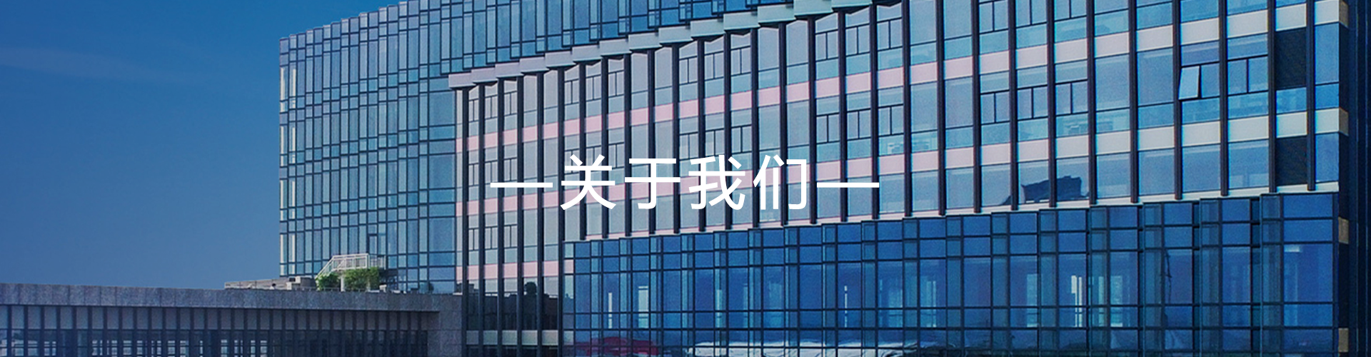 公司簡(jiǎn)介